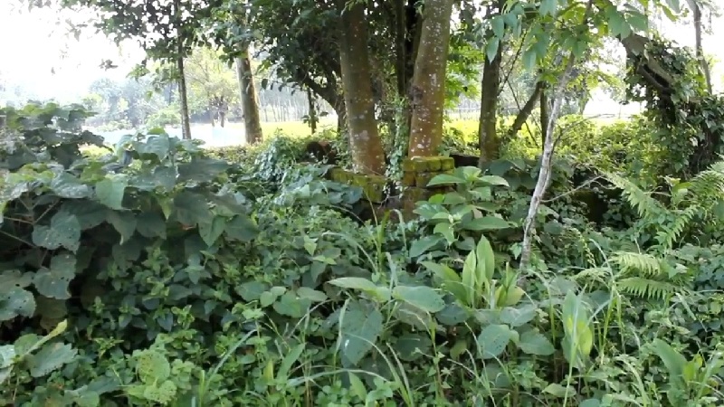 মৃত ব্যক্তির কবরস্থান।